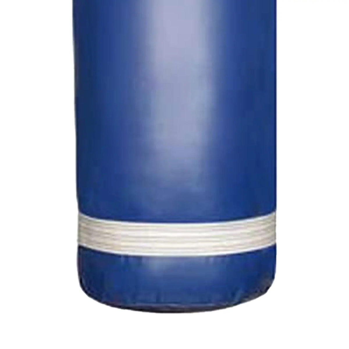 PROLAST 80 Lb Boxing MMA Training Filled Heavy Hanging Punching Bag, Blue